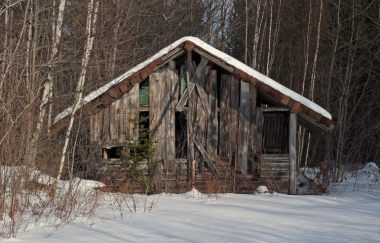 Shack in Maine Woods